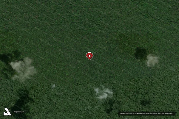 Imagem de satélite — Embargo IBAMA — Infração da Flora - Manaus/AM