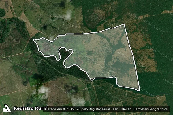 Imagem de satélite de Infração Ambiental em Altamira - PA