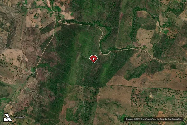 Imagem de satélite — Embargo IBAMA — Infração da Flora — Palmeira dos Índios/AL