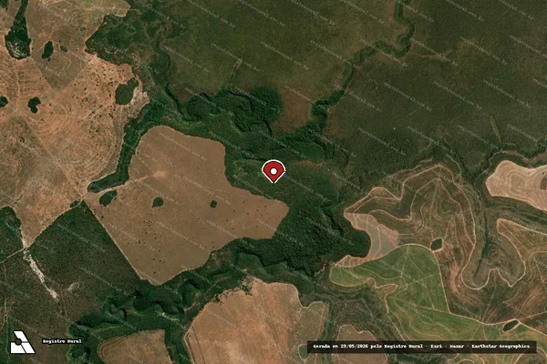 Imagem de satélite de Infração Ambiental em Alto Araguaia - MT (marcador da localização)