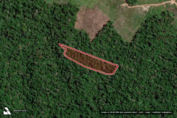 Imagem de satélite de Infração Ambiental em Anapu - PA