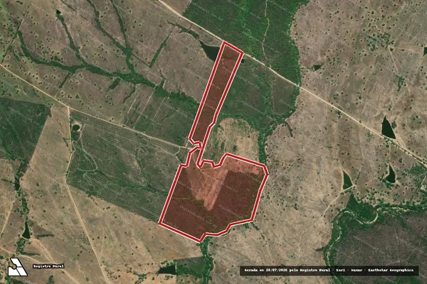 Imagem de satélite de Infração da Flora em Major Isidoro - AL