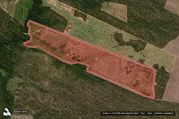 Imagem de satélite — Embargo IBAMA — Infração da Flora — Balsas/MA