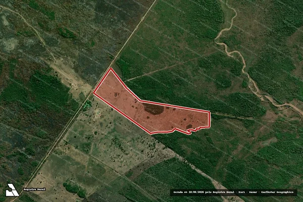 Imagem de satélite de Infração da Flora em Corumbá - MS