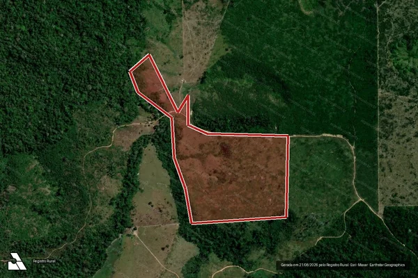 Imagem de satélite de Infração da Flora em Portel - PA