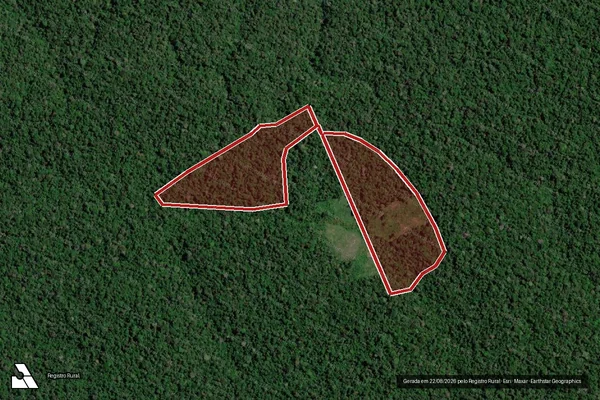 Imagem de satélite de Infração da Flora em Portel - PA