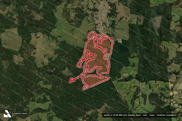 Imagem de satélite de Infração da Flora em Coronel Domingos Soares - PR