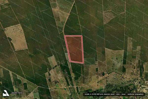 Imagem de satélite — Embargo Ambiental — Baianópolis/BA