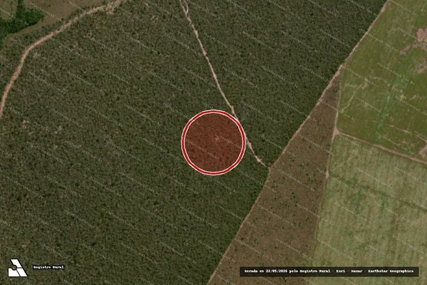 Imagem de satélite de Infração Ambiental em Campo Verde - MT