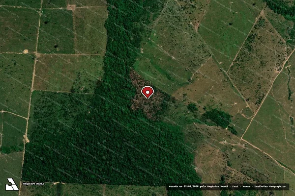 Imagem de satélite de Infração da Flora em Porto Velho - RO (marcador da localização)