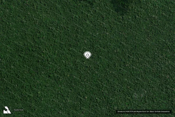Imagem de satélite de Infração da Flora em Novo Progresso - PA (marcador da localização)