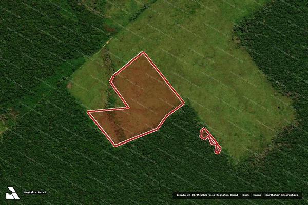 Imagem de satélite de Infração da Flora em Boca do Acre - AM