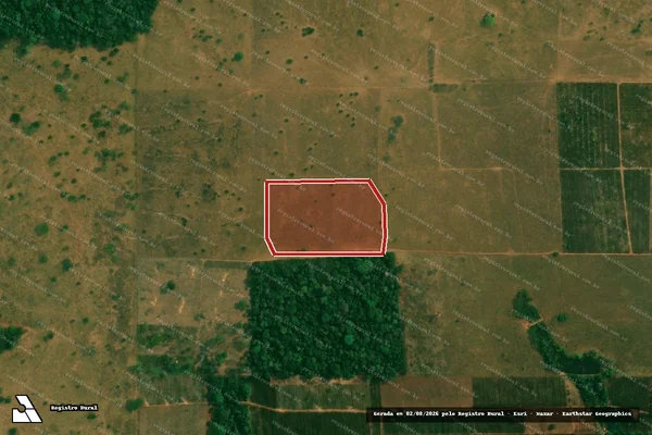 Imagem de satélite — Embargo IBAMA — Infração Ambiental - Alta Floresta D'Oeste/RO