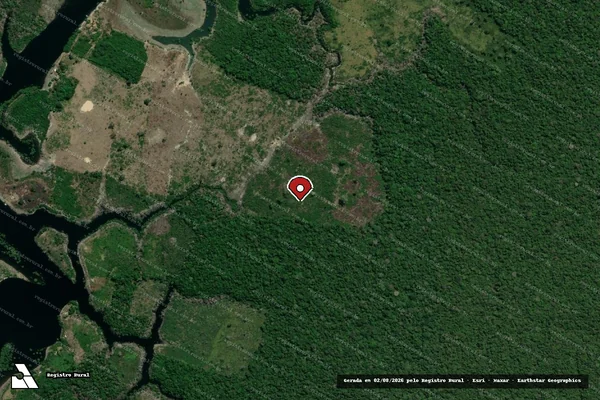 Imagem de satélite de Infração da Flora em Autazes - AM (marcador da localização)