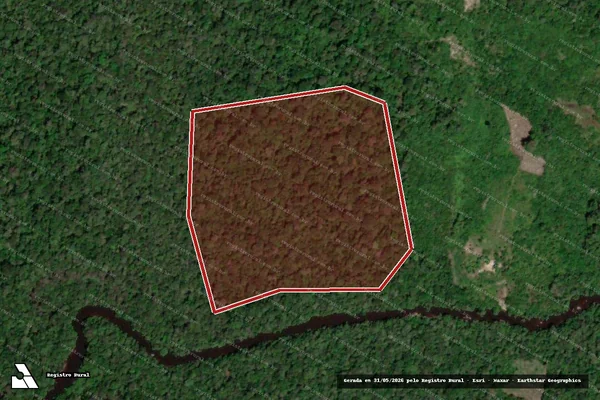Imagem de satélite — Embargo IBAMA — Infração da Flora - Rorainópolis/RR