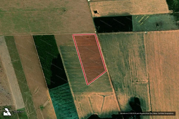 Imagem de satélite de Infração da Flora em Peixoto de Azevedo - MT