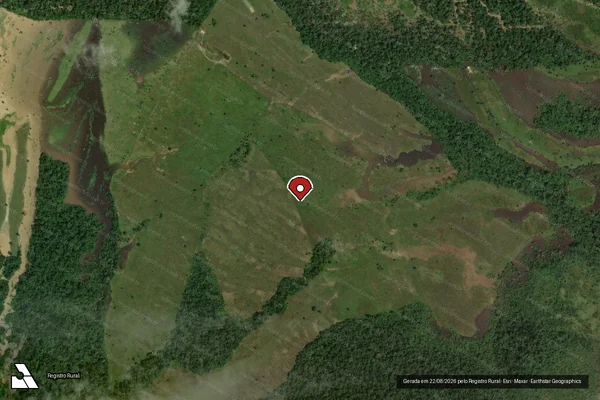 Imagem de satélite — Embargo IBAMA — Infração da Flora - Pauini/AM