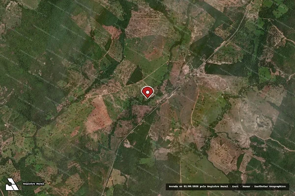 Imagem de satélite de Infração Ambiental em Jaú do Tocantins - TO (marcador da localização)