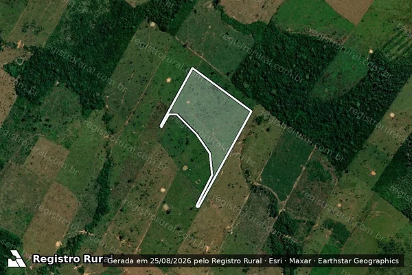 Imagem de satélite de Infração da Flora em Porto Velho - RO
