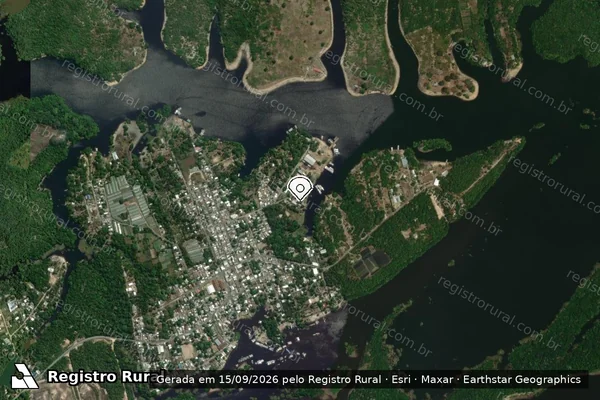 Imagem de satélite — Embargo IBAMA — Infração Ambiental - Manaus/AM