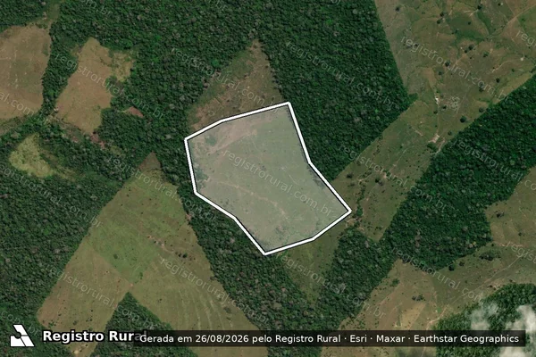 Imagem de satélite de Infração Ambiental em Boca do Acre - AM