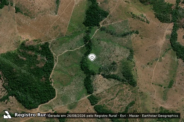 Imagem de satélite de Infração da Flora em Nova Bandeirantes - MT (marcador da localização)