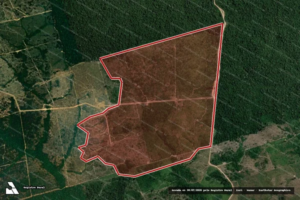 Imagem de satélite de Infração da Flora em Novo Progresso - PA