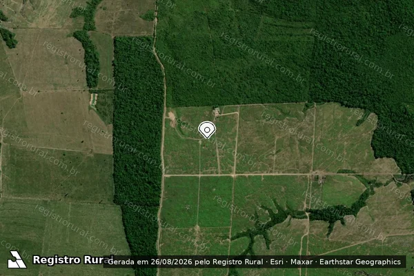 Imagem de satélite — Embargo IBAMA — Infração da Flora - Ipixuna do Pará/PA