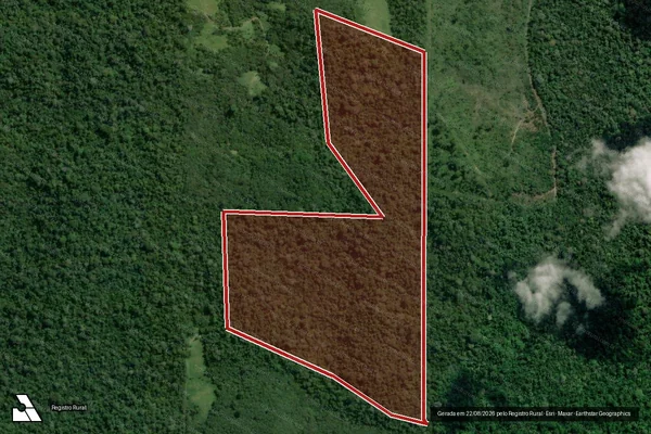 Imagem de satélite de Infração da Flora em Pacajá - PA
