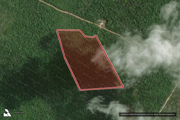 Imagem de satélite de Infração Ambiental em Mucajaí - RR