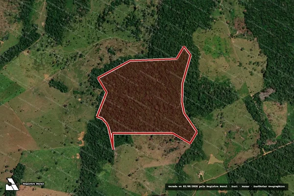 Imagem de satélite de Infração da Flora em Capixaba - AC