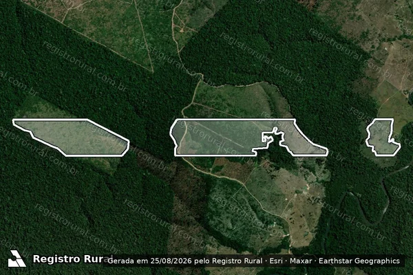 Imagem de satélite — Embargo IBAMA — Infração da Flora - Portel/PA