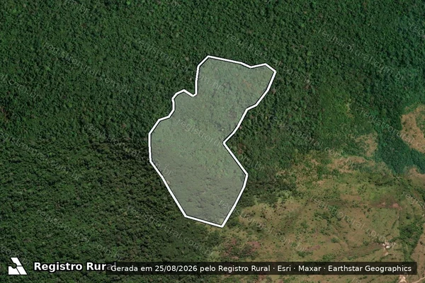 Imagem de satélite de Desmatamento em Itaituba - PA