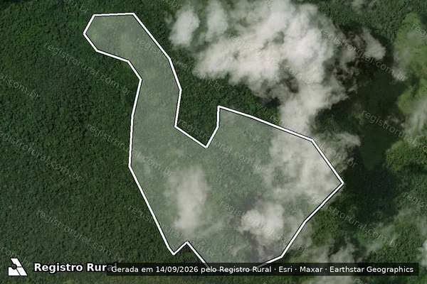 Imagem de satélite — Embargo IBAMA — Infração Ambiental - São Félix do Xingu/PA
