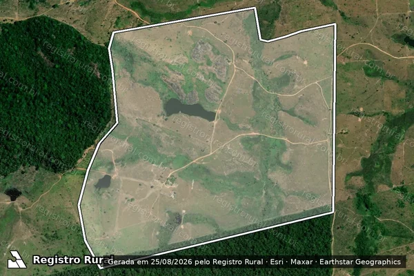 Imagem de satélite de Infração Ambiental em Novo Repartimento - PA