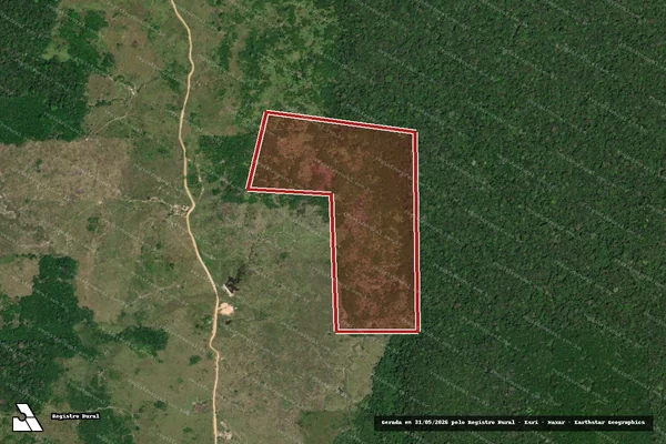 Imagem de satélite de Infração Ambiental em Caroebe - RR