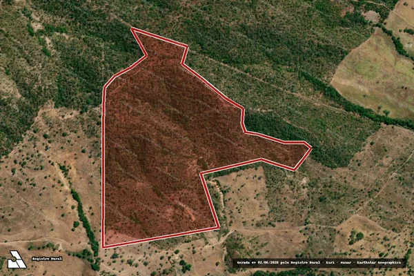 Imagem de satélite — Embargo IBAMA — Infração da Flora - Pindorama do Tocantins/TO
