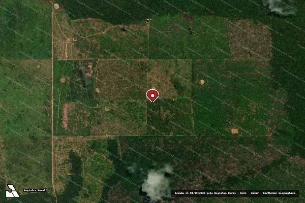 Imagem de satélite de Infração da Flora em Porto Velho - RO (marcador da localização)