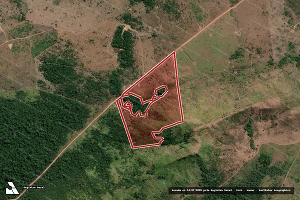 Imagem de satélite — Embargo Ambiental — São Félix do Xingu/PA