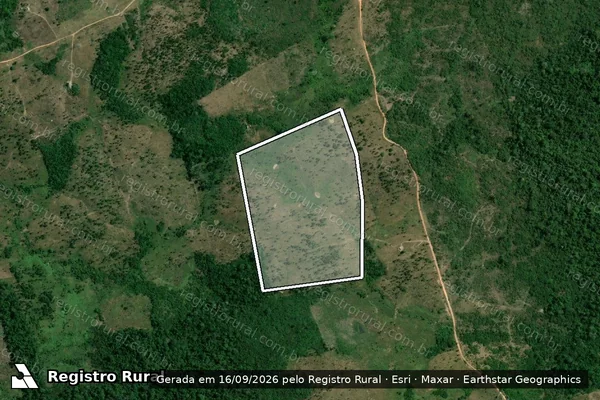 Imagem de satélite de Infração da Flora em Pacajá - PA