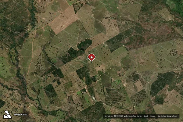 Imagem de satélite de Infração da Flora em Poconé - MT (marcador da localização)