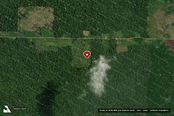 Imagem de satélite de Infração da Flora em Rorainópolis - RR (marcador da localização)