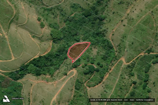 Imagem de satélite de Infração da Flora em Colônia Leopoldina - AL
