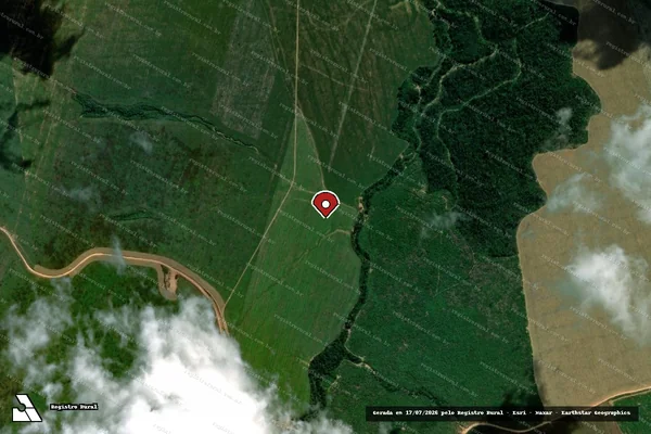 Imagem de satélite de Infração da Flora em Dom Eliseu - PA (marcador da localização)