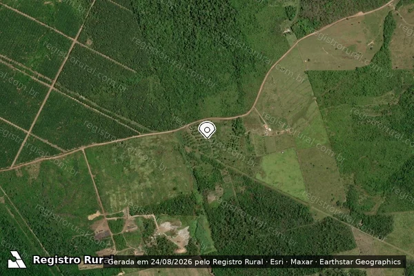 Imagem de satélite de Infração da Flora em Tomé-Açu - PA (marcador da localização)