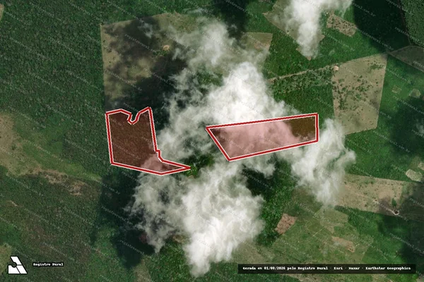 Imagem de satélite de Infração da Flora em Monte Alegre - PA