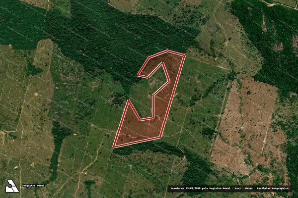 Imagem de satélite de Infração da Flora em Machadinho D'Oeste - RO