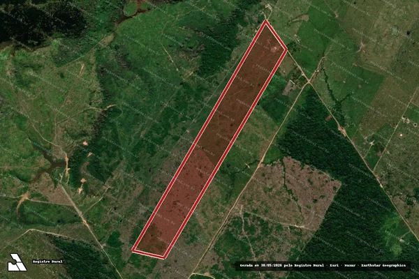 Imagem de satélite de Infração da Flora em Porto Velho - RO