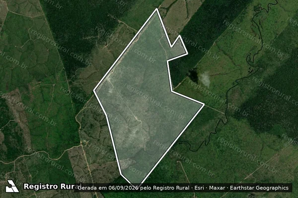Imagem de satélite de Infração Ambiental em Apuí - AM