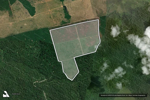 Imagem de satélite de Infração da Flora em Novo Progresso - PA